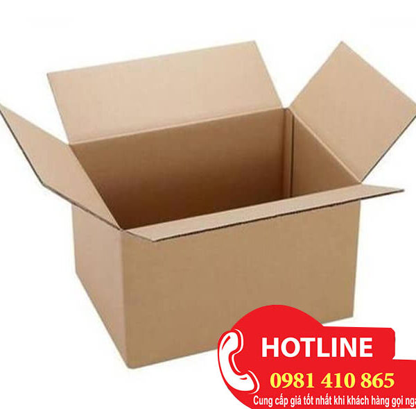 Thùng carton 30x20x12cm loại 3 lớp TP69