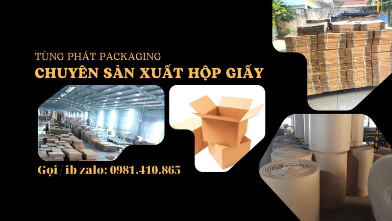 Tùng Phát Packaging là một trong những đơn vị sản xuất thùng carton mới uy tín hàng đầu quận Bình Tân