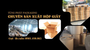 Tùng Phát Packaging chuyên sản xuất hộp giấy, thùng carton sỉ và lẻ